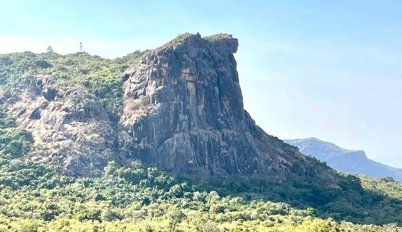 Tour Image
