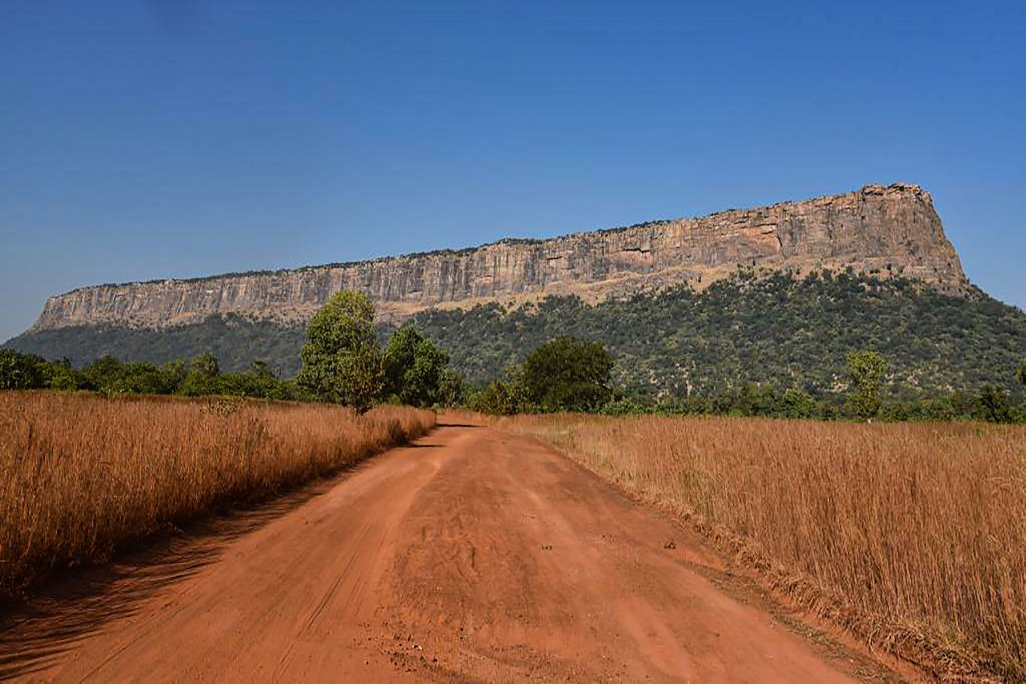 Tour Image